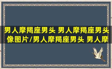 男人摩羯座男头 男人摩羯座男头像图片/男人摩羯座男头 男人摩羯座男头像图片-我的网站